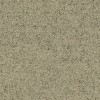 Focus Melange 61240