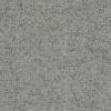 Focus Melange 66209