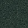 Focus Melange 68249