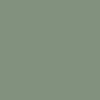 HPL U19024 SD Reed Green