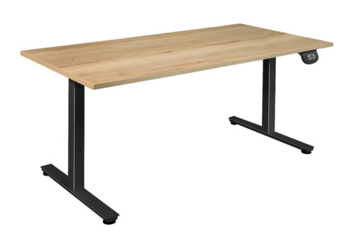 Elektrisch zit-sta bureau Motion Pro
