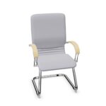 Nowy Styl Sohos By Nowy Styl Nova Stationary Cantilever Chair