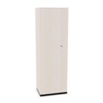 Nowy Styl Sqart Wardrobe Cabinet D1 Veneer