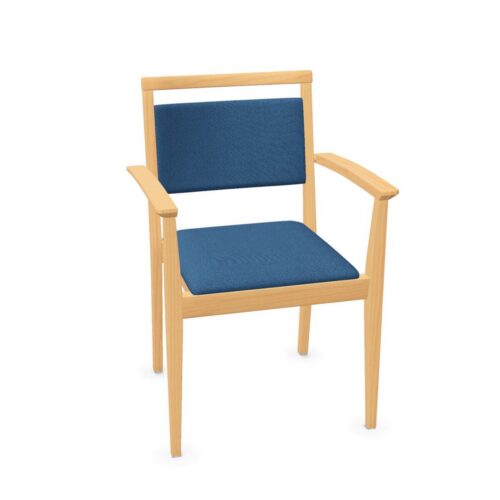 Kusch + Co Luca Upholstered Frame Chair