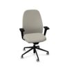ICF Dsw Task With Armrests Office Chair