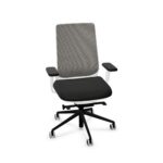 ICF Task Mesh Backrest Office Chair