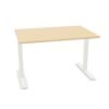 Frezza Freestanding Desk