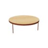 Treku Gau Without Crest Coffee Table