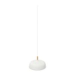 Northern Acorn Pendant Lamp