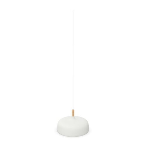 Northern Acorn Pendant Lamp