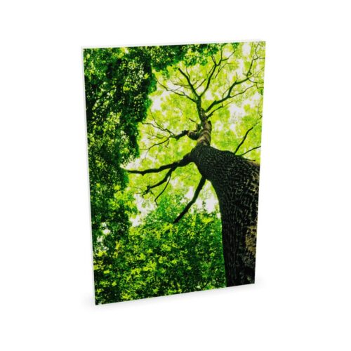 Zilenzio Wall-Mounted Frameless Acoustic Wall Panel
