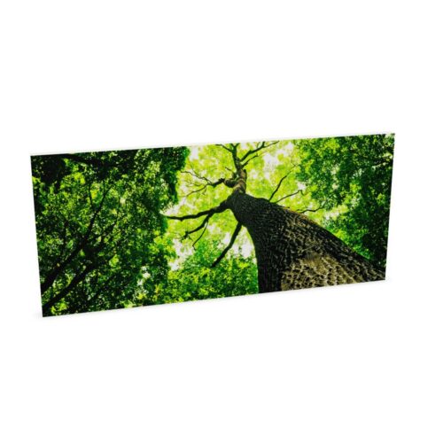 Zilenzio Frameless Without Acoustic Desk Screen