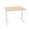 Bralco Height-Adjustable Desk