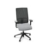Nowy Styl Sitagpoint C 5-Star Mesh Multifunction Office Swivel Chair