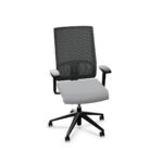 Nowy Styl Sitagpoint tec2 5-Star Mesh Multifunction Office Swivel Chair