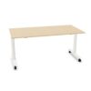 Bralco Workstation With Privacy Desk