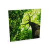 Zilenzio Focus Wall 64-0505 Frameless Without Acoustic Wall Panel