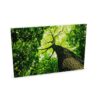 Zilenzio Dezibel Wall-Mounted Printed Acoustic Wall Panel