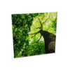 Zilenzio Dezibel Print 64-0808 Wall-Mounted Printed Surface Acoustic Wall Panel