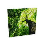 Zilenzio Dezibel Print 64-0808 Wall-Mounted Printed Surface Acoustic Wall Panel