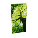 Zilenzio 64-0612 Wall-Mounted Frameless Acoustic Wall Panel