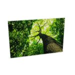 Zilenzio 64-1208 Frameless Acoustic Wall Panel
