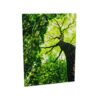 Zilenzio 64-1216 Wall-Mounted Picture Surface Acoustic Wall Panel