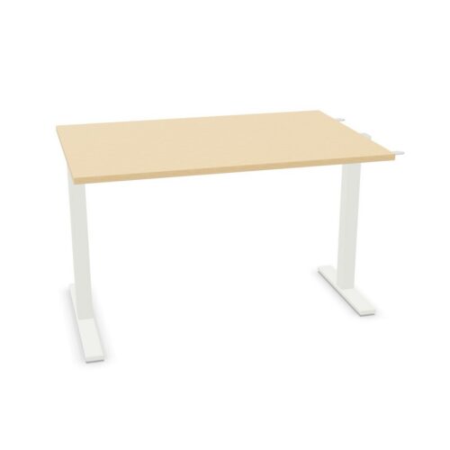 Frezza Freestanding Linkable Desk