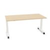 Bralco WB Bench Desk