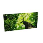Zilenzio Frameless Acoustic Wall Panel