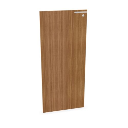 Bralco Left-Hinged Lockable Cabinet Door