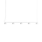 Northern Blush Pendant Rail 5 Linear Five-Light Pendant Light