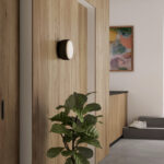 Northern Over Me D20 Surface-Mounted Ceiling Light