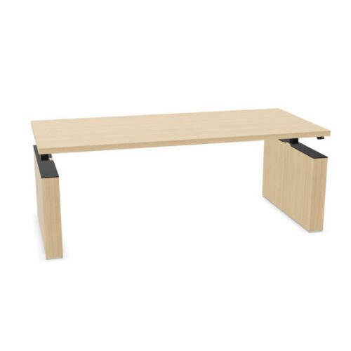 Bralco Panel Leg Desk Leather Insert Desk