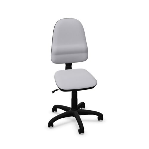 Nowy Styl Perfect TS02 Gts Task Chair Upholstered Office Chair