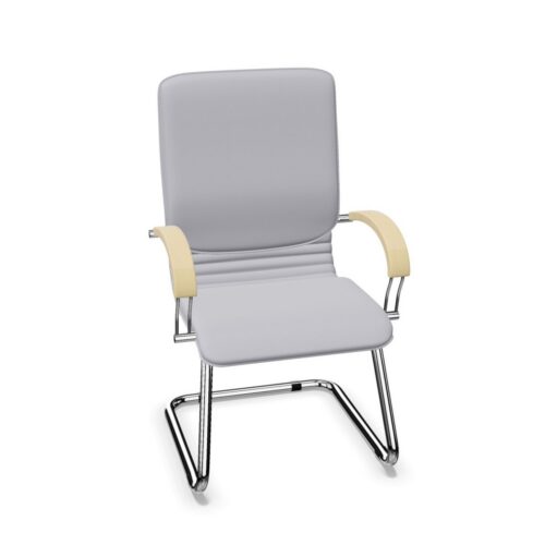 Nowy Styl Nova Wood LB CF-CR Cantilever With Armrests Upholstered Frame Chair