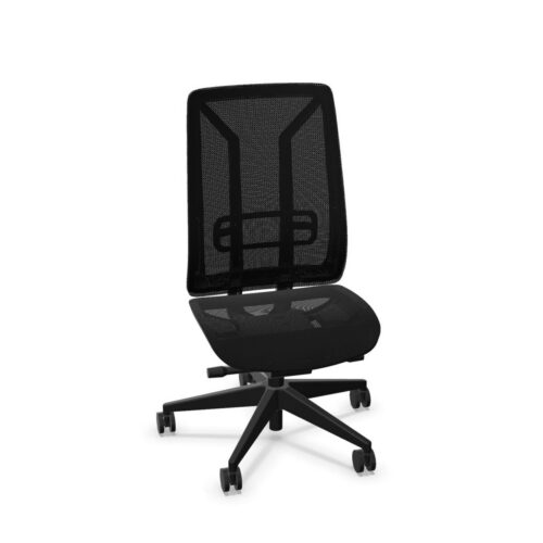 Diemme Ace Mesh 5-Star Back Office Chair