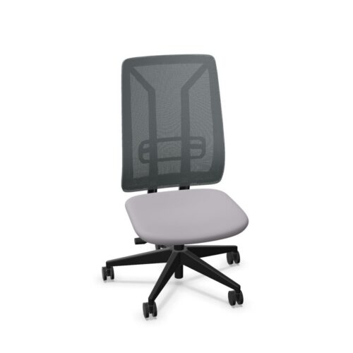 Diemme Ace 5-Star With Armrests Mesh Office Chair