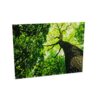 Zilenzio Wall-Mounted Frameless Acoustic Wall Panel