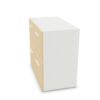 Frezza Service Unit 2 Drawers Storage Cabinet