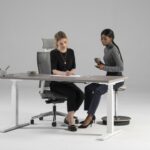 Nowy Styl Eup eUP3 T-Leg RC Sit-Stand Electric Height Desk