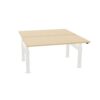Bralco WE Bench Desk