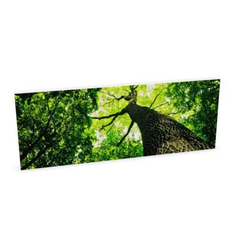 Zilenzio 64-1204 Frameless Without Acoustic Wall Panel