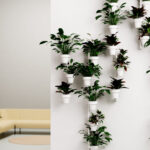 Cascando Slide Wall 5 Cm Wall-Mounted Pots Planter