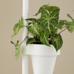 Cascando Slide Wall 5 Cm Wall-Mounted Pots Planter
