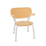 Functionals 8713147980754 Default Armchair With Armrests Chair