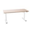 Voortman 80 Sit-Stand Electric Height Desk