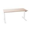 Voortman Sit-Stand T-Leg Under-Desk Desk