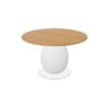 FAMO Blend Conference Table