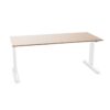 Voortman 2-Leg T-Leg Height-Adjustable Desk